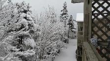 Clayton Park - Photo 13