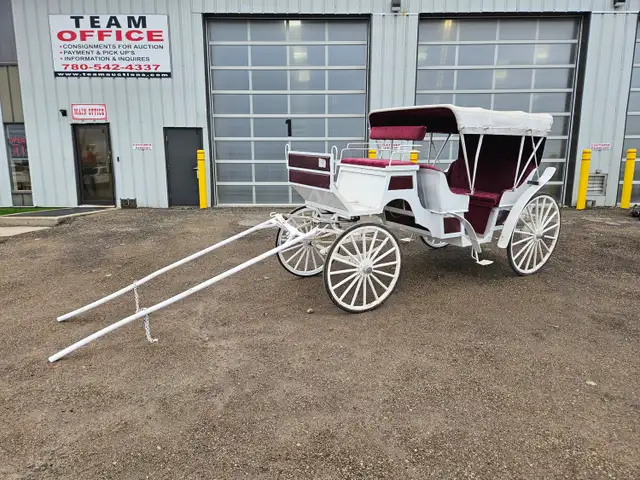 #26FG - Two Well Maintained Horse Drawn Carriages Up for Auction