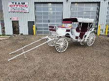 #26FG - Two Well Maintained Horse Drawn Carriages Up for Auction