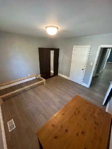 4 Bed 2 WR Mainfloor Rent - Lawrence/Markham - Available NOW - Photo 5