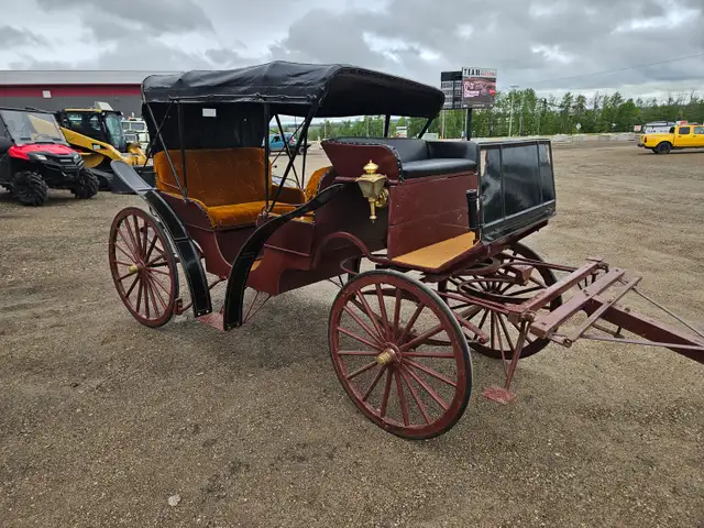 #26FG - Two Well Maintained Horse Drawn Carriages Up for Auction