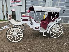 #26FG - Two Well Maintained Horse Drawn Carriages Up for Auction - Photo 9