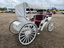 #26FG - Two Well Maintained Horse Drawn Carriages Up for Auction - Photo 8