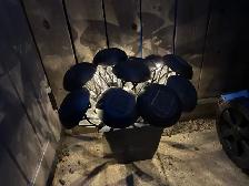 Solar Outdoor Lights $45obo - Photo 3
