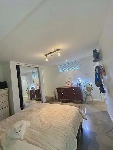 3 1/2 à louer Rosemont Petite-Patrie - Photo 5