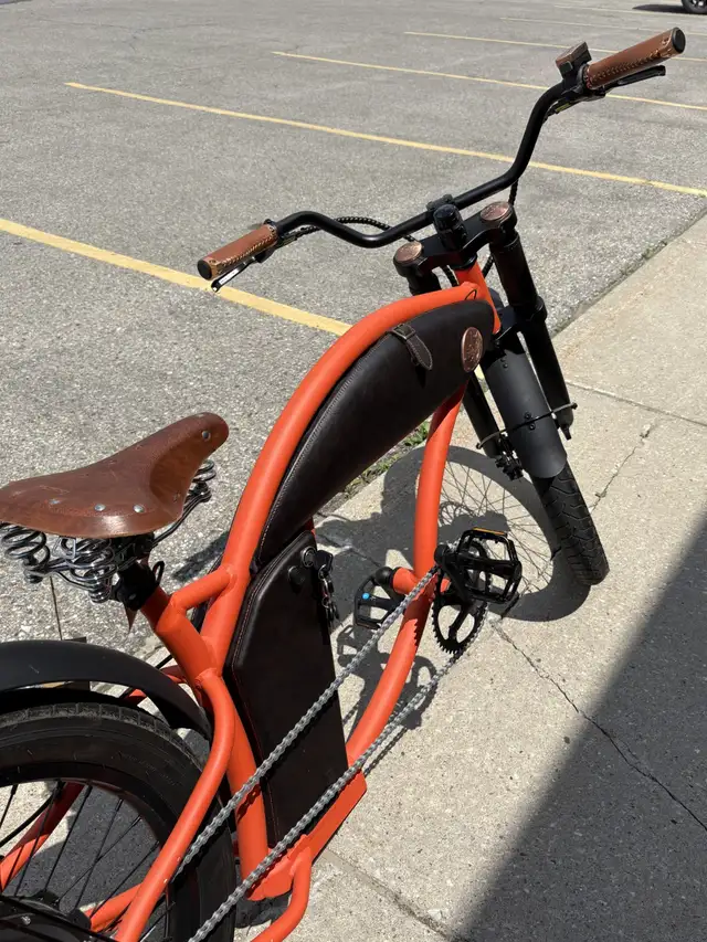 Rayvolt Cruzer Electric Bike