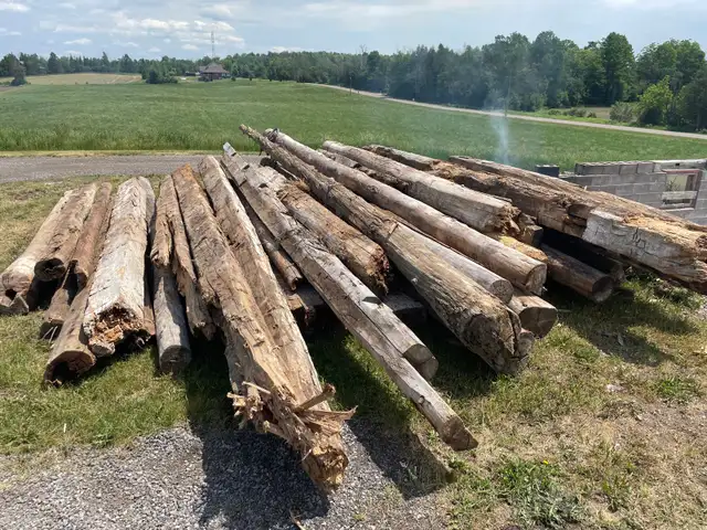 FREE Logs/ Firewood