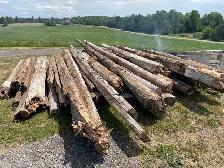 FREE Logs/ Firewood