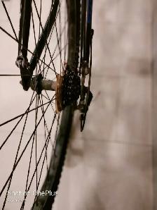 bicycle - Photo 5