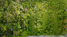 24.5 Acre Homestead Lot - Photo 6