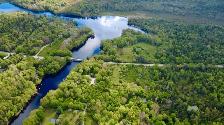 24.5 Acre Homestead Lot - Photo 8