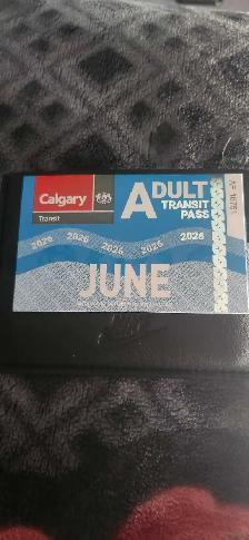 transit pass
