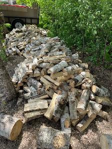 firewood - Photo 2