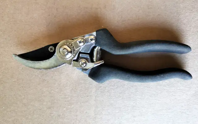 Pruning Shear