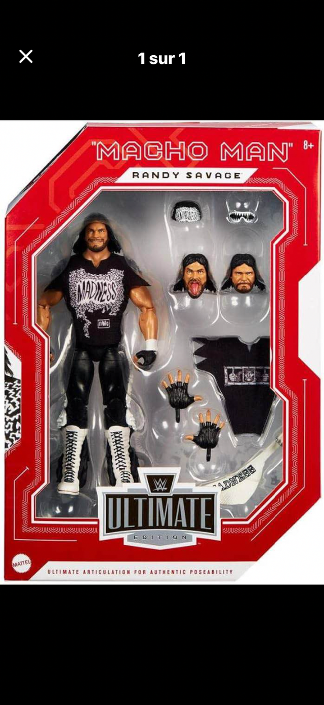 Wwe figurine !!