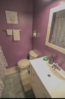3Bed 2Bath House For Rent In River East - Photo 11