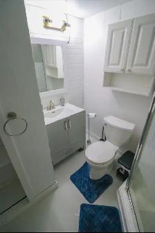 3Bed 2Bath House For Rent In River East - Photo 14