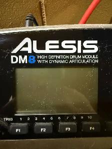 Alesis DM8 Drum Kit