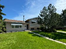 3Bed 2Bath House For Rent In Waverley Heights