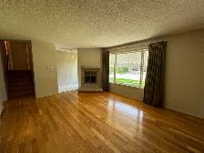3Bed 2Bath House For Rent In Waverley Heights - Photo 4