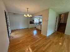 3Bed 2Bath House For Rent In Waverley Heights - Photo 6