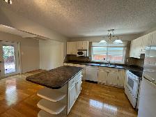 3Bed 2Bath House For Rent In Waverley Heights - Photo 11