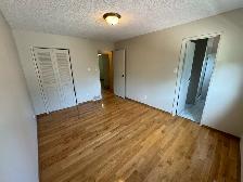 3Bed 2Bath House For Rent In Waverley Heights - Photo 13