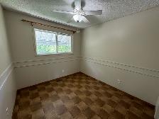 3Bed 2Bath House For Rent In Waverley Heights - Photo 16