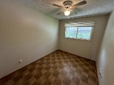3Bed 2Bath House For Rent In Waverley Heights - Photo 19