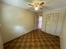 3Bed 2Bath House For Rent In Waverley Heights - Photo 20