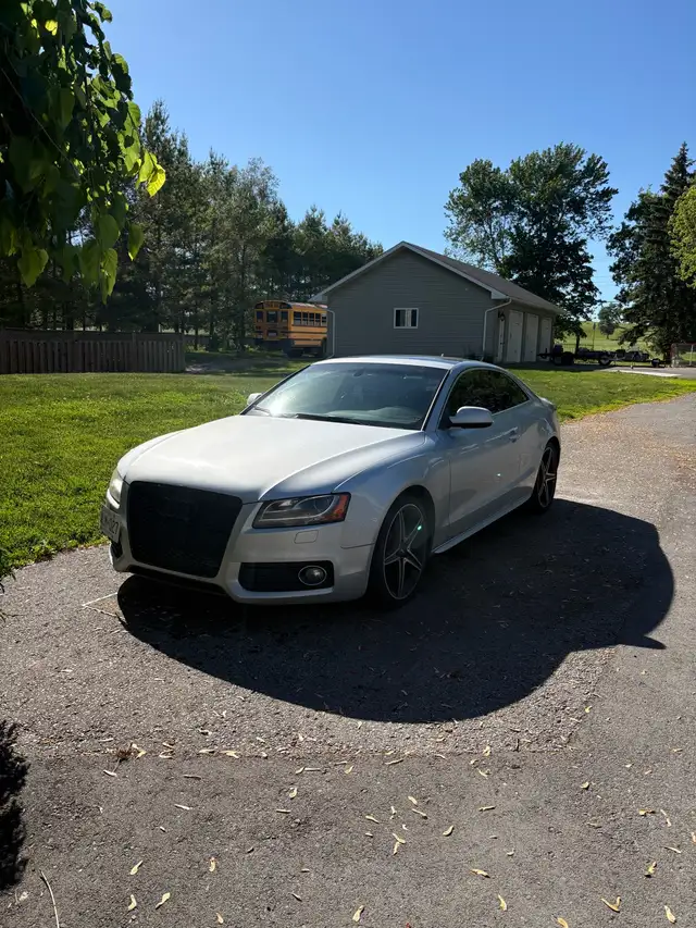 2010 audi A5