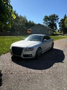 2010 audi A5