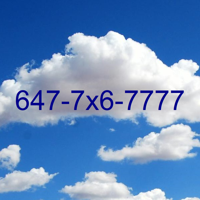 Lucky sevens 647 416 Toronto Phone Number for sale