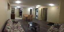 Basement for rent in Laurel, Millwoods