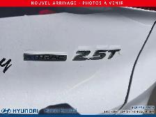 2022 Hyundai Santa Fe ULTIMATE CALLIGRAPHY - Photo 4