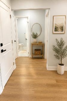 Brand-New 1BHK Apartment | Main-Floor Living l Lots of sunlight - Photo 3