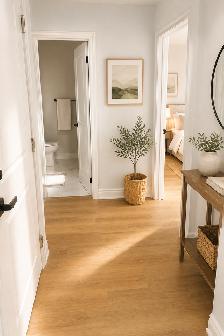 Brand-New 1BHK Apartment | Main-Floor Living l Lots of sunlight - Photo 7