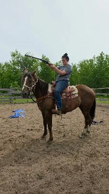 mare for sale - Photo 7