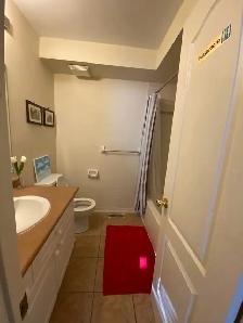 Room for rent at York University (Keele campus) - Photo 4