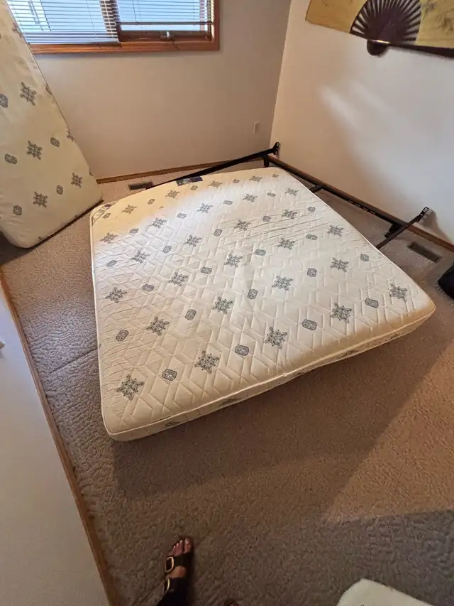 King mattress and box spring - FREE