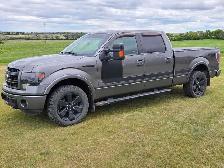 2013 Ford F150 FX4 Crew Cab 4x4 - Photo 3