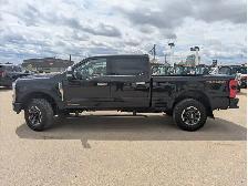 2024 Ford F-350 Platinum 6.7L Diesel/Touch Nav/Pano/Camera - Photo 14