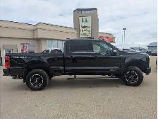 2025 Ford F-350 Platinum 6.7L V8 Diesel/Touch Nav/ Pan/Camera - Photo 8