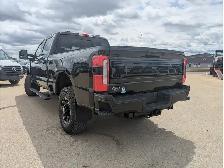 2025 Ford F-350 Platinum 6.7L V8 Diesel/Touch Nav/ Pan/Camera - Photo 12