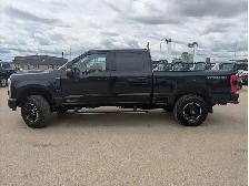 2025 Ford F-350 Platinum 6.7L V8 Diesel/Touch Nav/ Pan/Camera - Photo 13