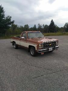 1979 chev silverado trade