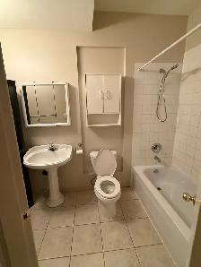 2 Bed   1 Bath Basement Suite for Rent – Fraser Heights - Photo 4