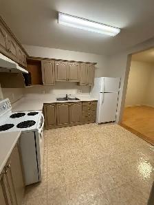 2 Bed   1 Bath Basement Suite for Rent – Fraser Heights - Photo 5