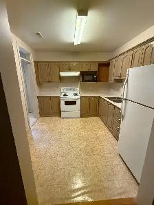 2 Bed   1 Bath Basement Suite for Rent – Fraser Heights - Photo 6