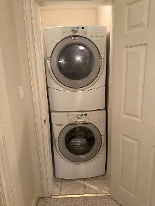 2 Bed   1 Bath Basement Suite for Rent – Fraser Heights - Photo 7